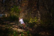 Дівчина на гойдалках в осінньому лісі — стокове фото
