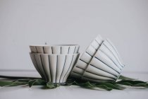 Still life of tea bowls on leaf over grey — Stock Photo