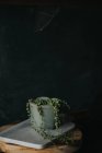 Натюрморт из горшечного гороха на мраморной доске — стоковое фото