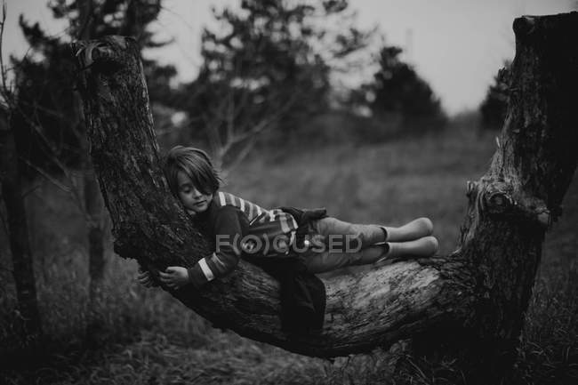 Chica durmiendo en el árbol tronco - foto de stock