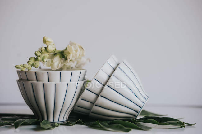 Натюрморт квітки в чашках на листі над сірим — стокове фото