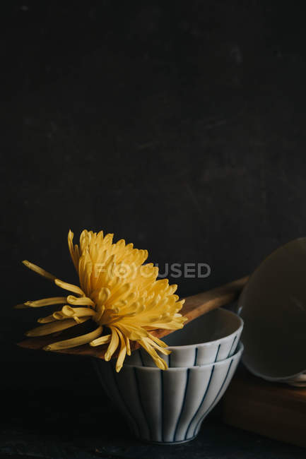 Still life of yellow flower and spatula on stacked tea bowls — Stock Photo