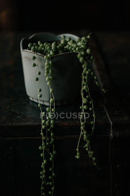 Stringa di buccia in vaso appesa al bordo del tavolo — Foto stock
