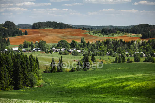 Prairies cultivées vertes — Photo de stock