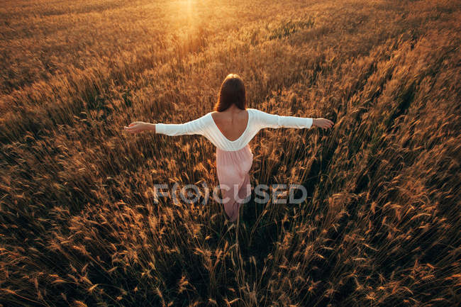 Hermosa morena en el campo de trigo al atardecer - foto de stock