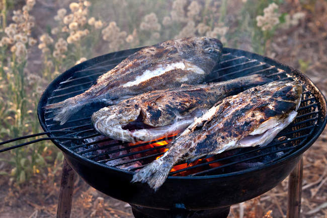 Mar Bream peixe grelhando no churrasco — Fotografia de Stock