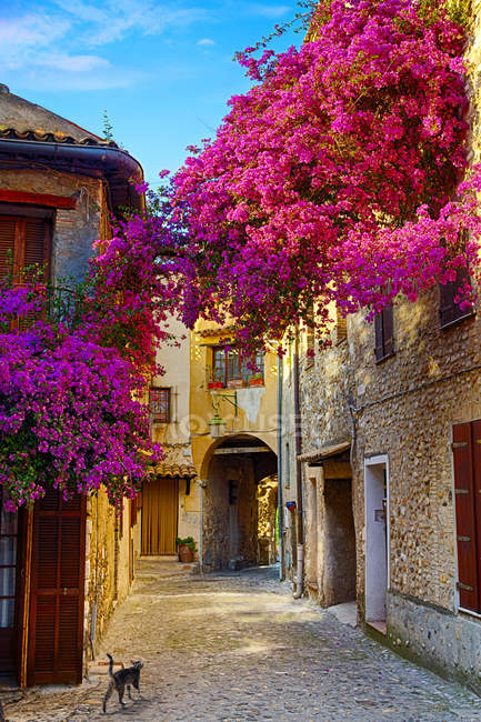 Мистецтво красивий старий місто Прованс — стокове фото