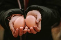 Eier in Menschenhand — Stockfoto