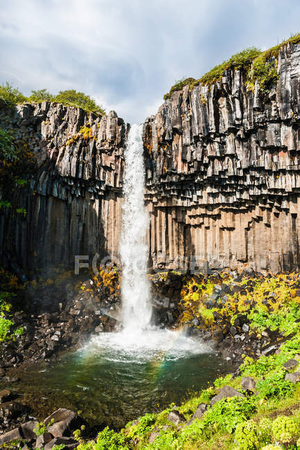 Hermosa cascada Svartifoss con columnas de basalto . - foto de stock