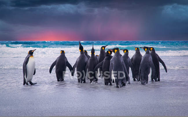 Zurückgelassen — Stockfoto