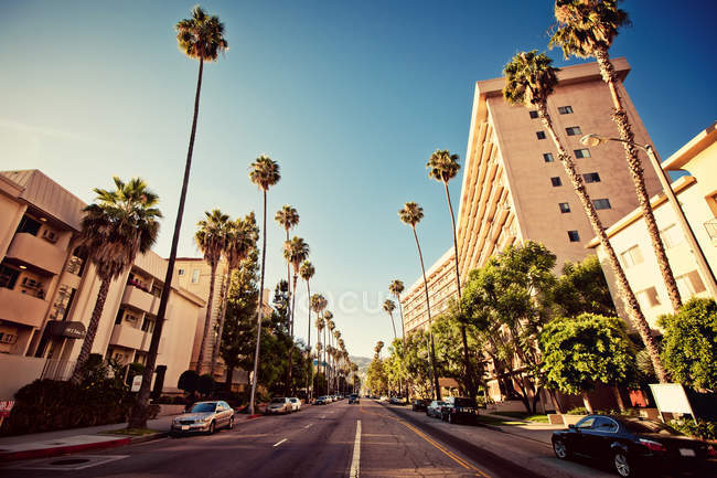 Palm streets of Beverly Hills — Stock Photo