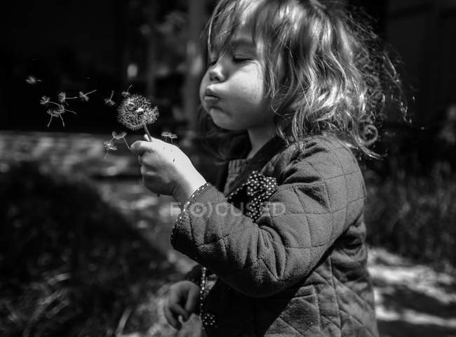Little girl blowing at dandelion — Stock Photo