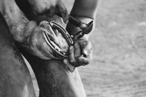 A Farrier the maker story — Stock Photo