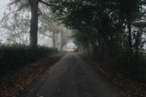 Vista panorâmica da estrada no campo — Fotografia de Stock