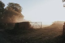 Изгородь с воротами в сельской местности — стоковое фото