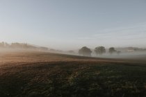 Manhã enevoada no campo — Fotografia de Stock