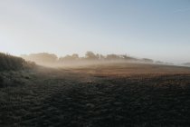Nebliger Morgen auf dem Land — Stockfoto