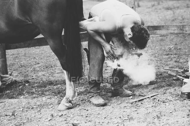 Real shot of blacksmith shoeing his horse — Stock Photo
