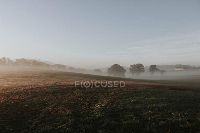 Nebliger Morgen auf dem Land — Stockfoto