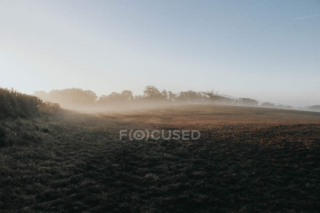 Туманний ранок у сільській місцевості — стокове фото