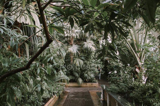 Kew Garden in London — Stockfoto