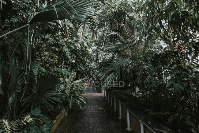 Цвітіння саду К'ю в Королівський ботанічний сад, — стокове фото