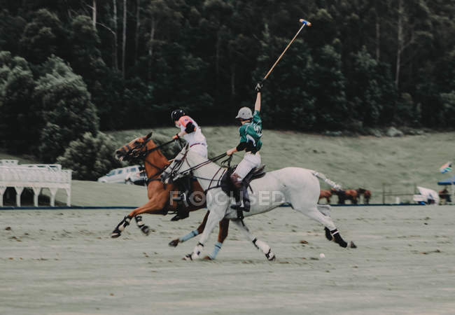 Polo players at match — Stock Photo