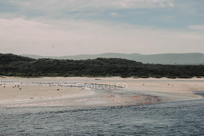 Beautiful coastline of Western Cape — Stock Photo