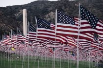 Розмахуючи американськими прапорами — стокове фото