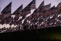 Agitando bandeiras americanas — Fotografia de Stock