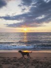 Захід сонця над Тихим океаном — стокове фото