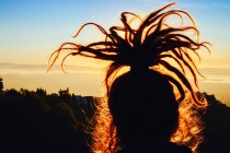 Chica con updo rastas en la puesta del sol - foto de stock