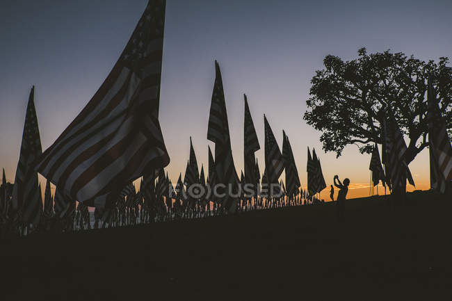 Waving American Flags — Stock Photo