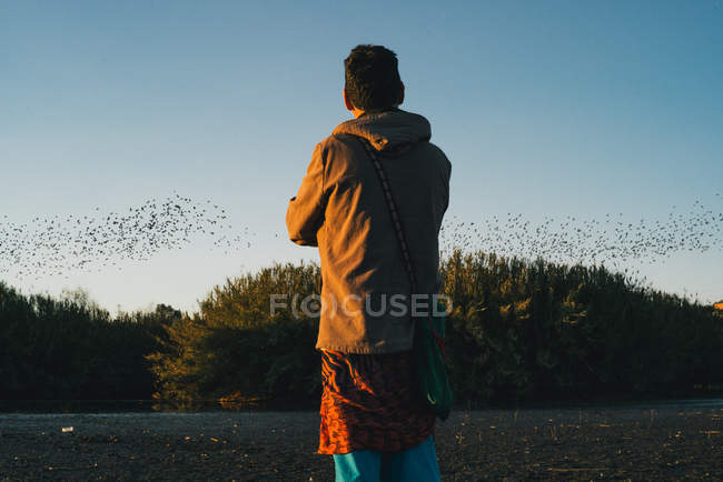 Man watching a starling murmuration — Stock Photo