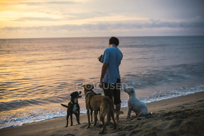 Hombre parado en la orilla del mar con una jauría de tres perros cerca de él al atardecer, San Francisco, Nayarit, México 2014 - foto de stock