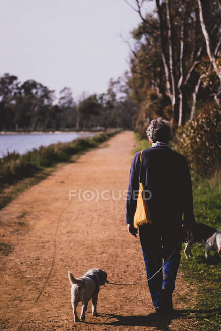 Человек гуляет со своей собакой — стоковое фото