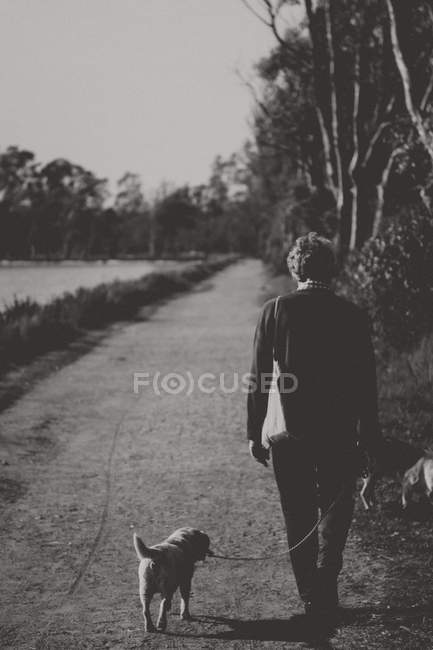 Man walking with his dog — Stock Photo