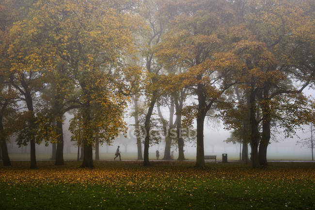 Parque Meadows en Edimburgo - foto de stock