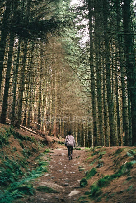 Fille marche sur la route de terre dans la forêt — Photo de stock