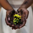 Mãos femininas segurando flores amarelas — Fotografia de Stock