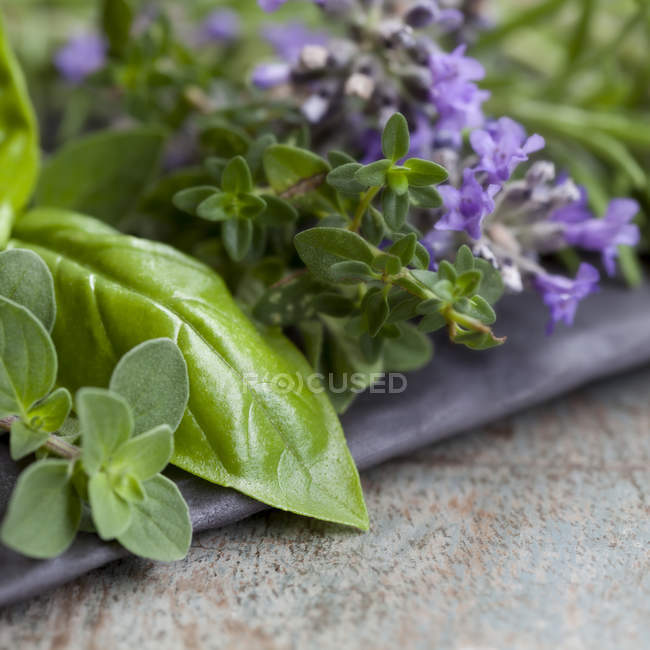 Stillleben mit Kräutern — Stockfoto