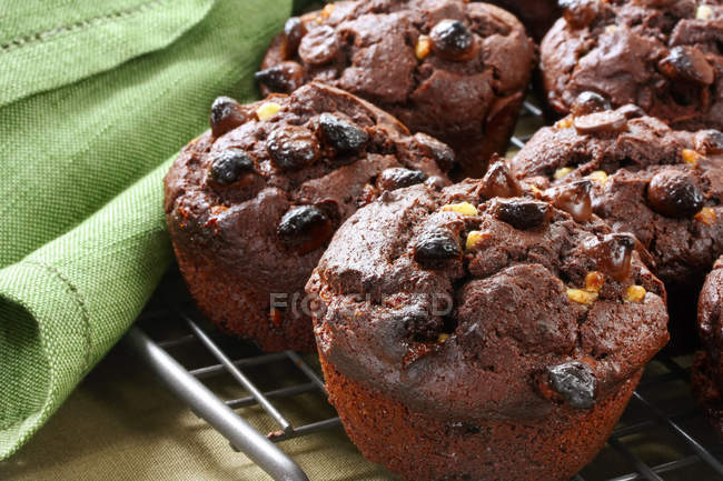Chocolate Muffins — Stock Photo