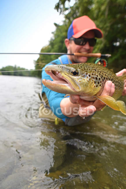 Fisherman holding brown trout — Stock Photo