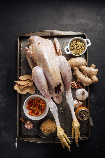Сырая курица со специями — стоковое фото