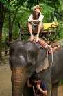 Женщина верхом на слоне — стоковое фото