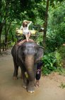 Женщина сидит на слоне — стоковое фото