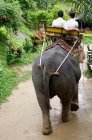 Paar reitet auf Elefant — Stockfoto