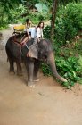 Молоді жінки катаються на слоні — стокове фото