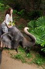Mujer sentada encima del elefante - foto de stock