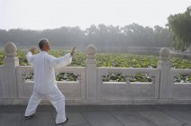 Человек практикует китайские боевые искусства — стоковое фото